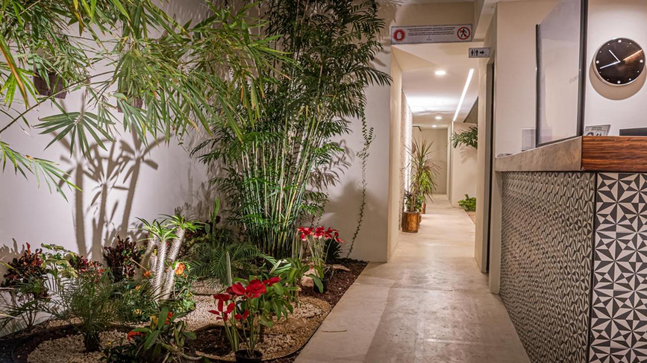 Moonshine Tulum Hotel & Hostel Екстериор снимка